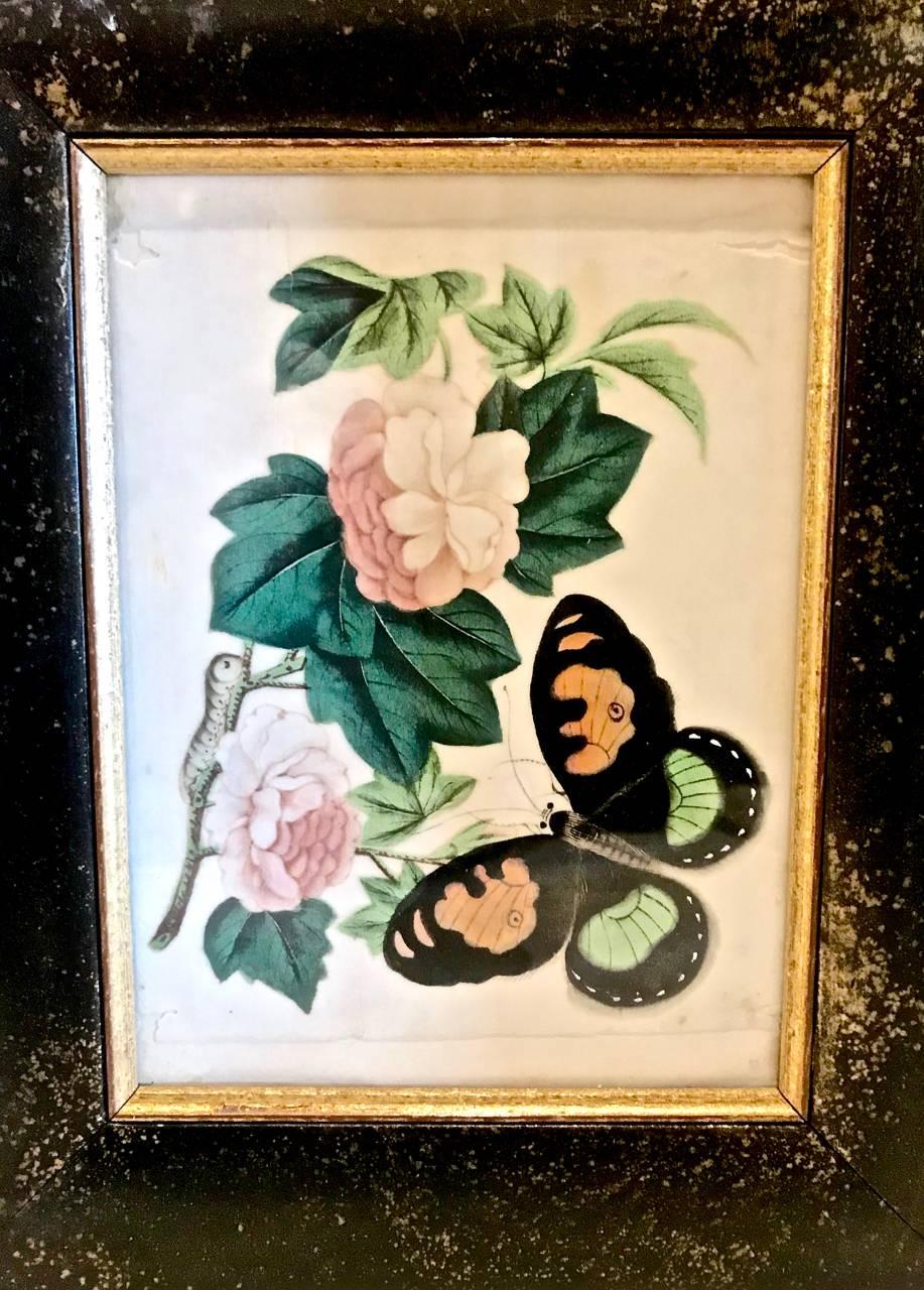 Chinese Export Butterfly Pith Paintings, Complete Set of 12 In Good Condition In Pasadena, CA