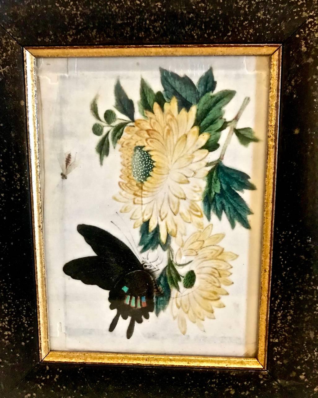 Chinese Export Butterfly Pith Paintings, Complete Set of 12 4