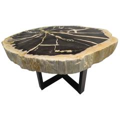 Indonesian Petrified Wood Side Table with Metal Black Powder Coated Base 2