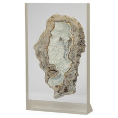 Agatized fossil Coral mounted on custom acrylic display, Oligocene era