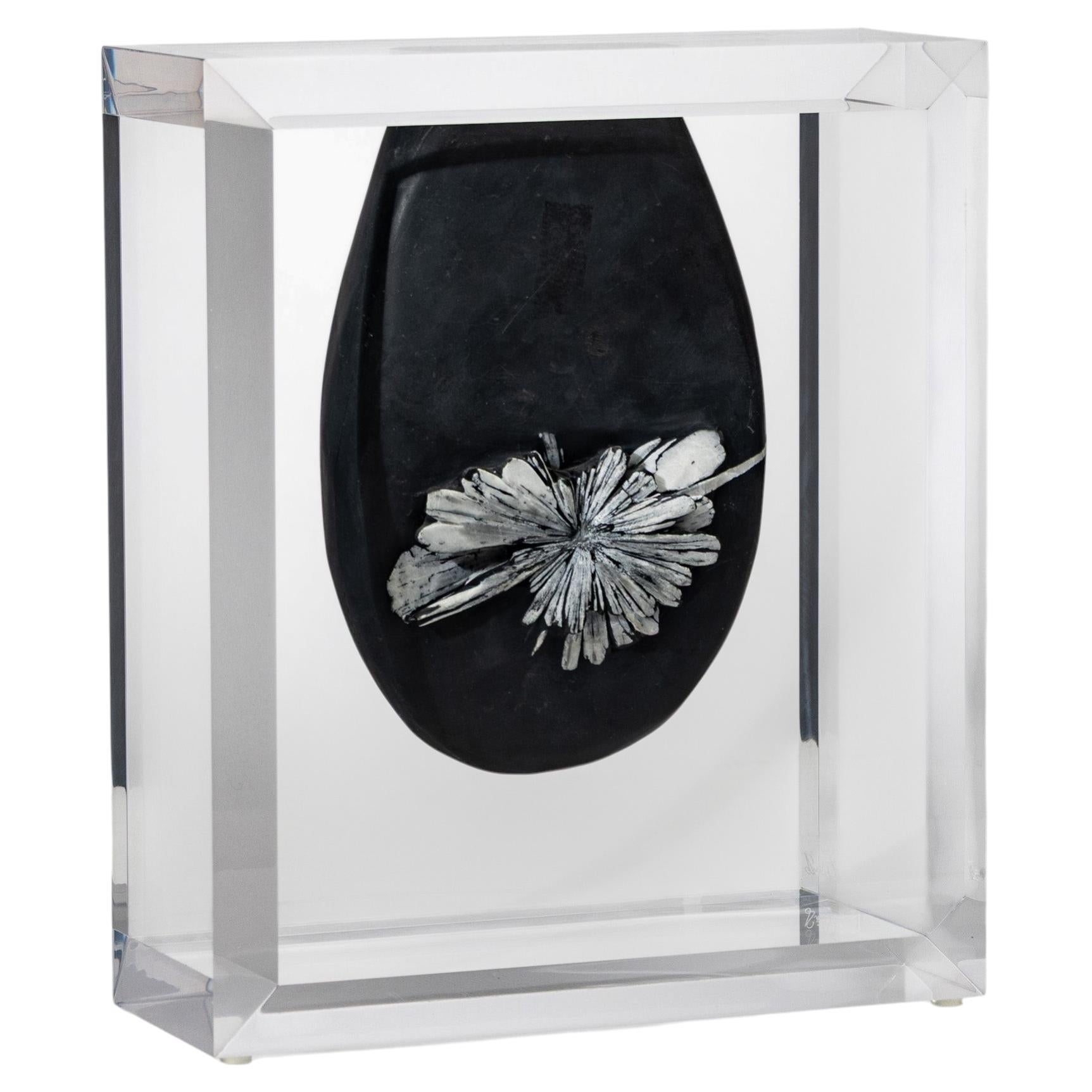 Chrysantemum Stone from China mounted in original design acrylic base For Sale
