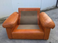 Armchair Easy Chairs Petronio Leather Tito Agnoli Poltrona Frau, 1970, Italy