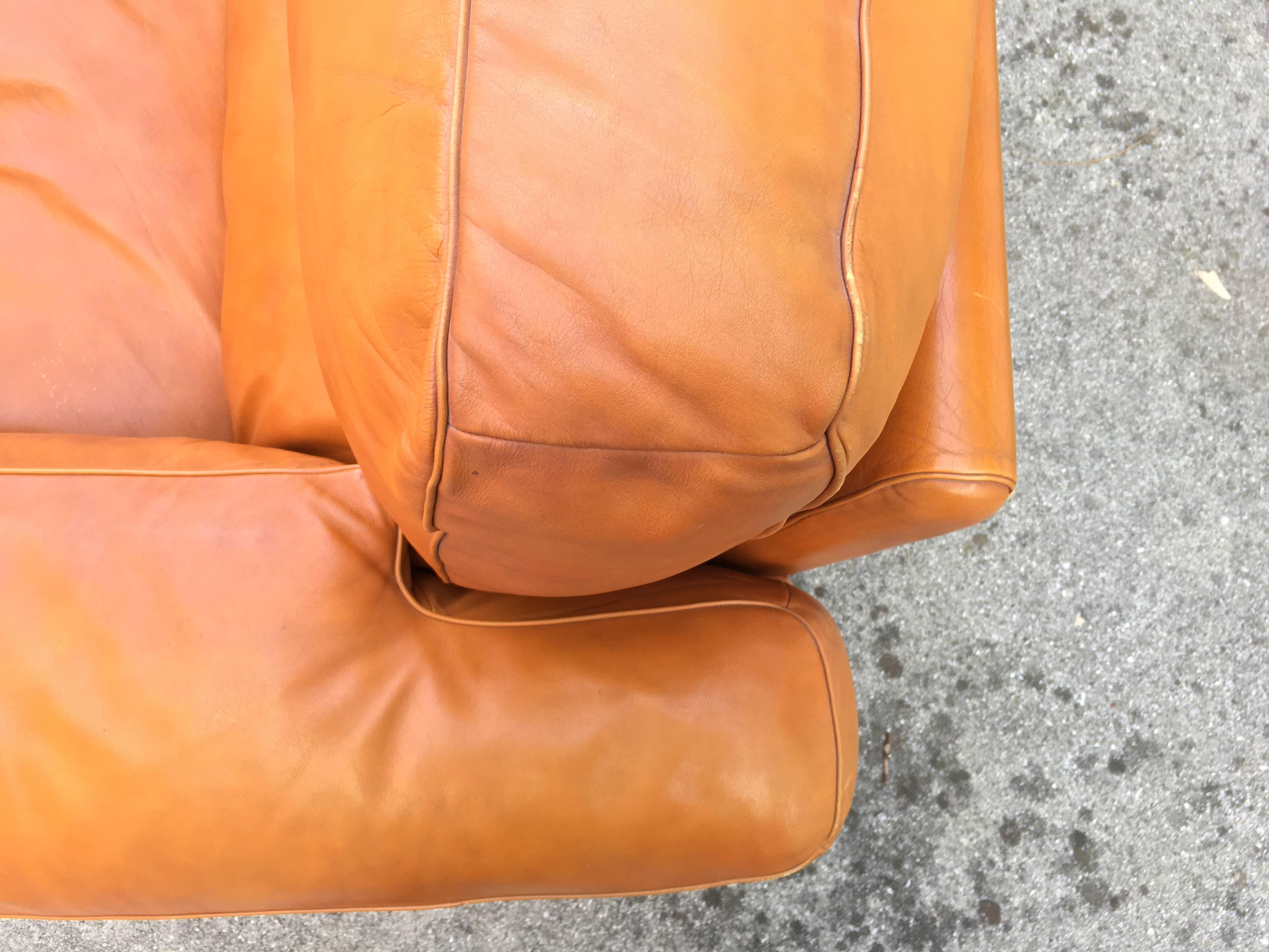 Armchair Easy Chairs Petronio Leather Tito Agnoli Poltrona Frau, 1970, Italy For Sale 4