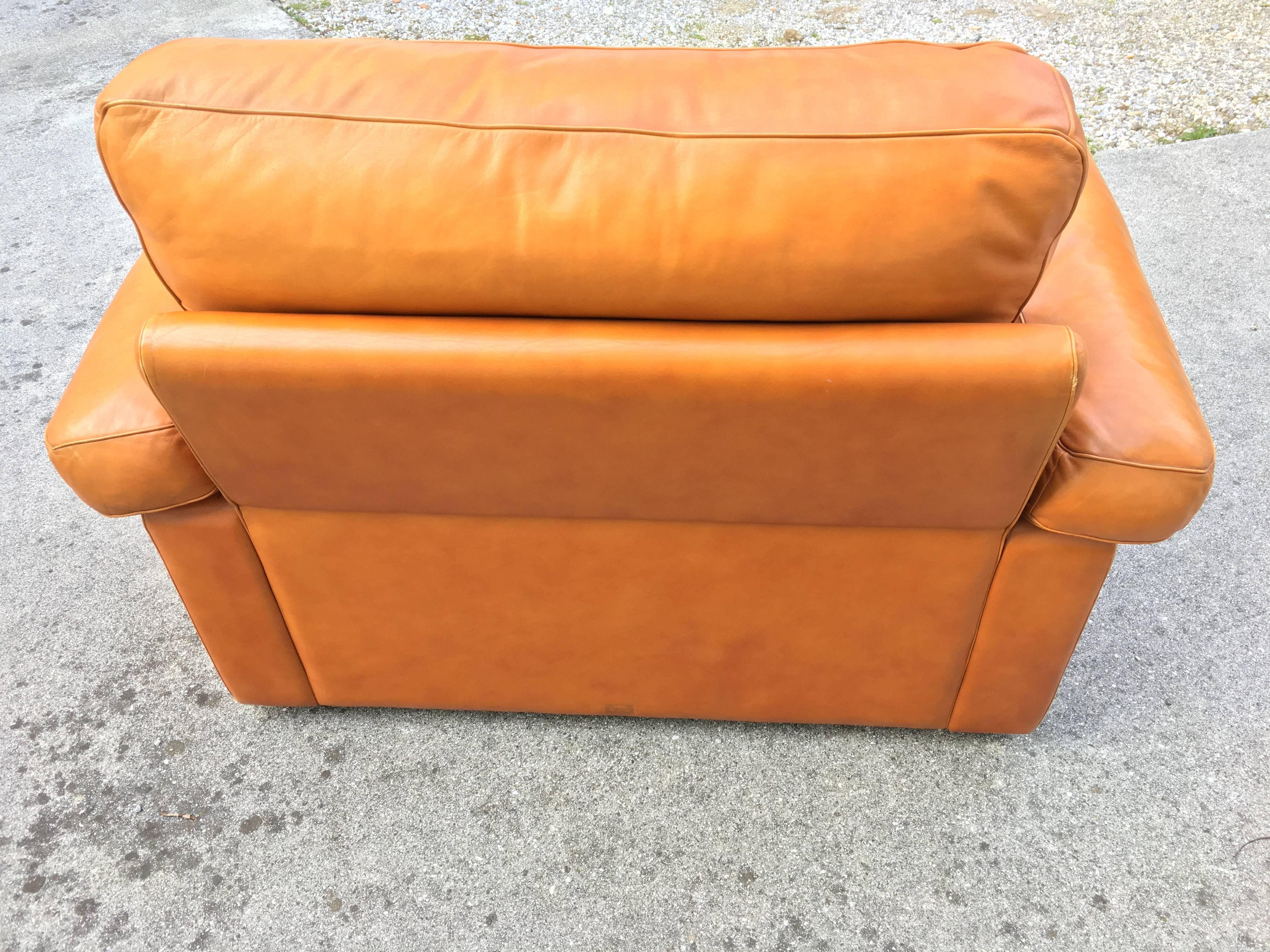 Armchair Easy Chairs Petronio Leather Tito Agnoli Poltrona Frau, 1970, Italy For Sale 5