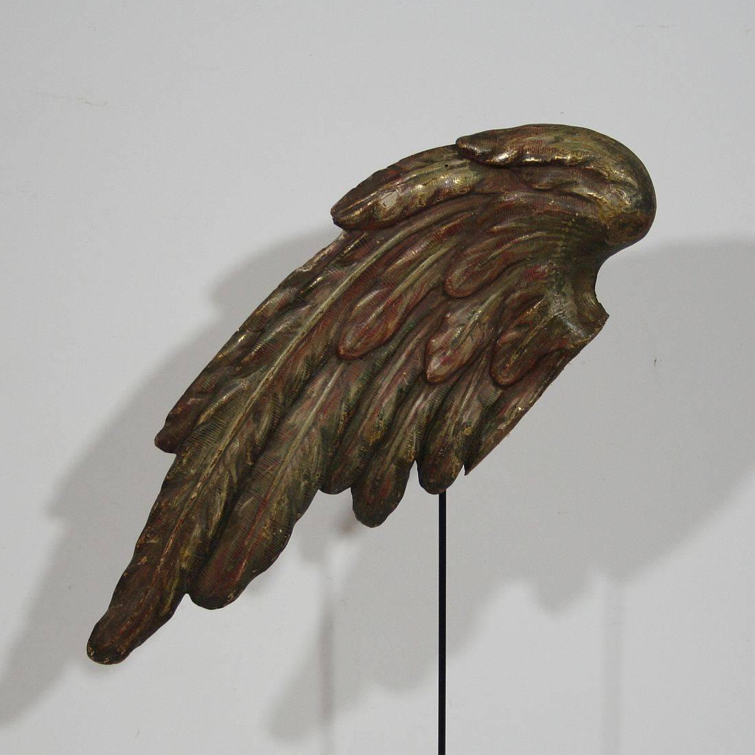 Beautiful Baroque angel-wing with its original color. Rare and very decorative item placed on a wooden base, Italy, circa 1750. Weathered. Measurement is inclusive the wooden base.