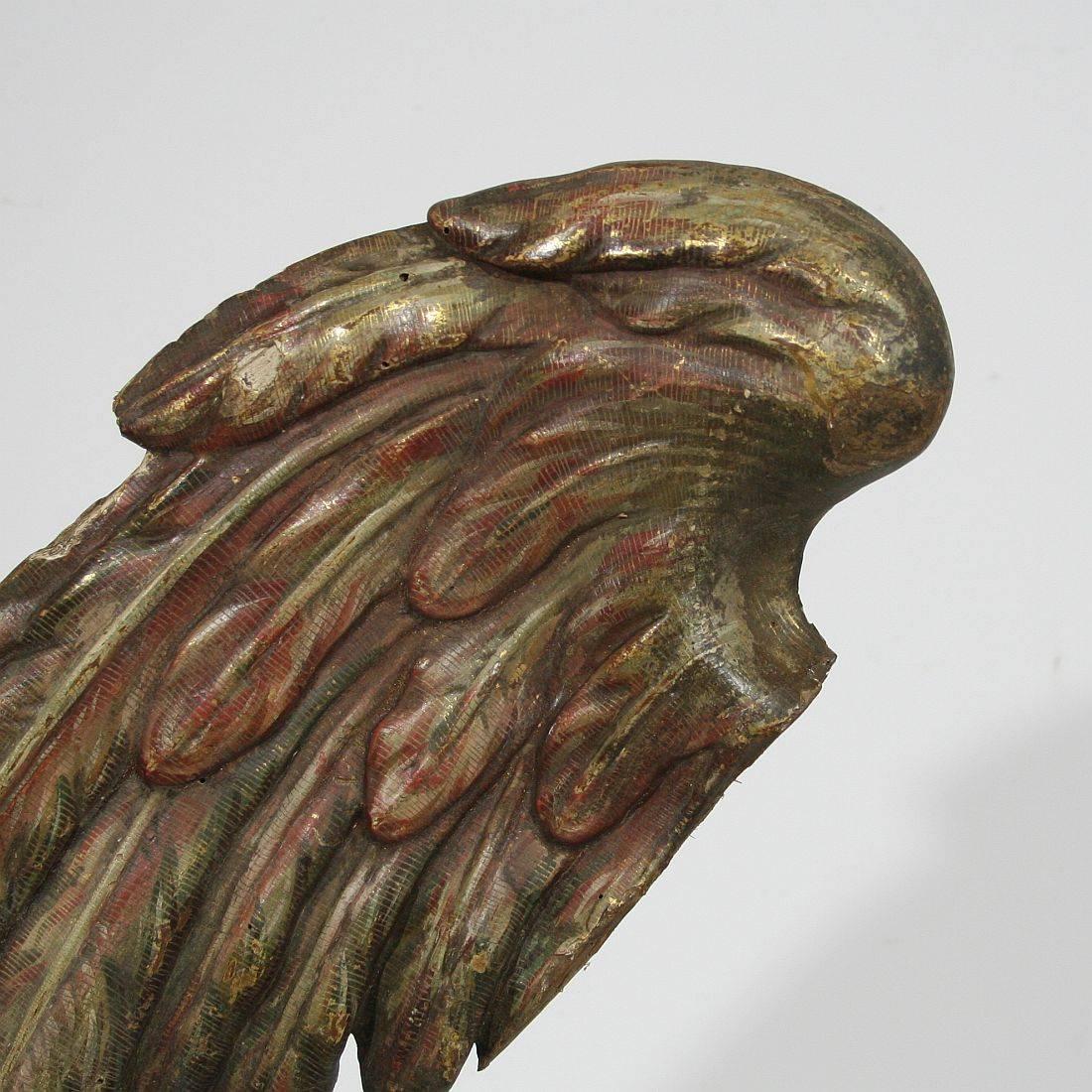 Large 18th Century, Italian Carved Wooden Wing of a Baroque Angel 1