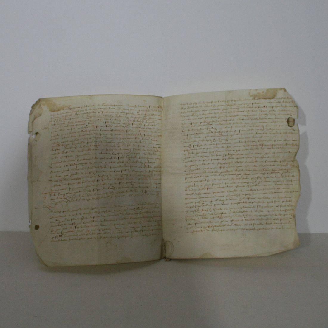 Large 16th Century French Vellum Handwriting, Manuscript In Good Condition In Buisson, FR