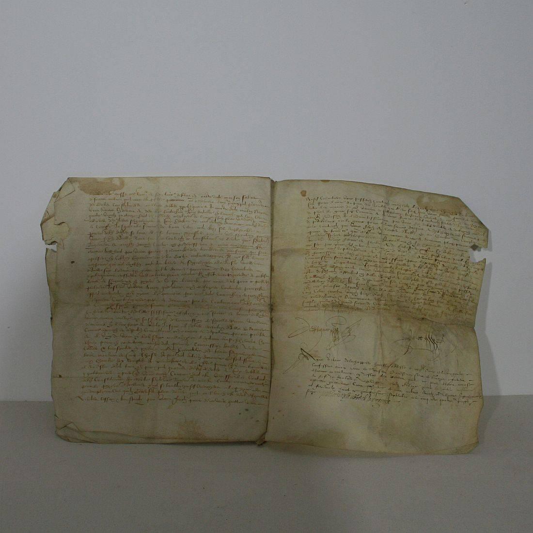 Large 16th Century French Vellum Handwriting, Manuscript 1