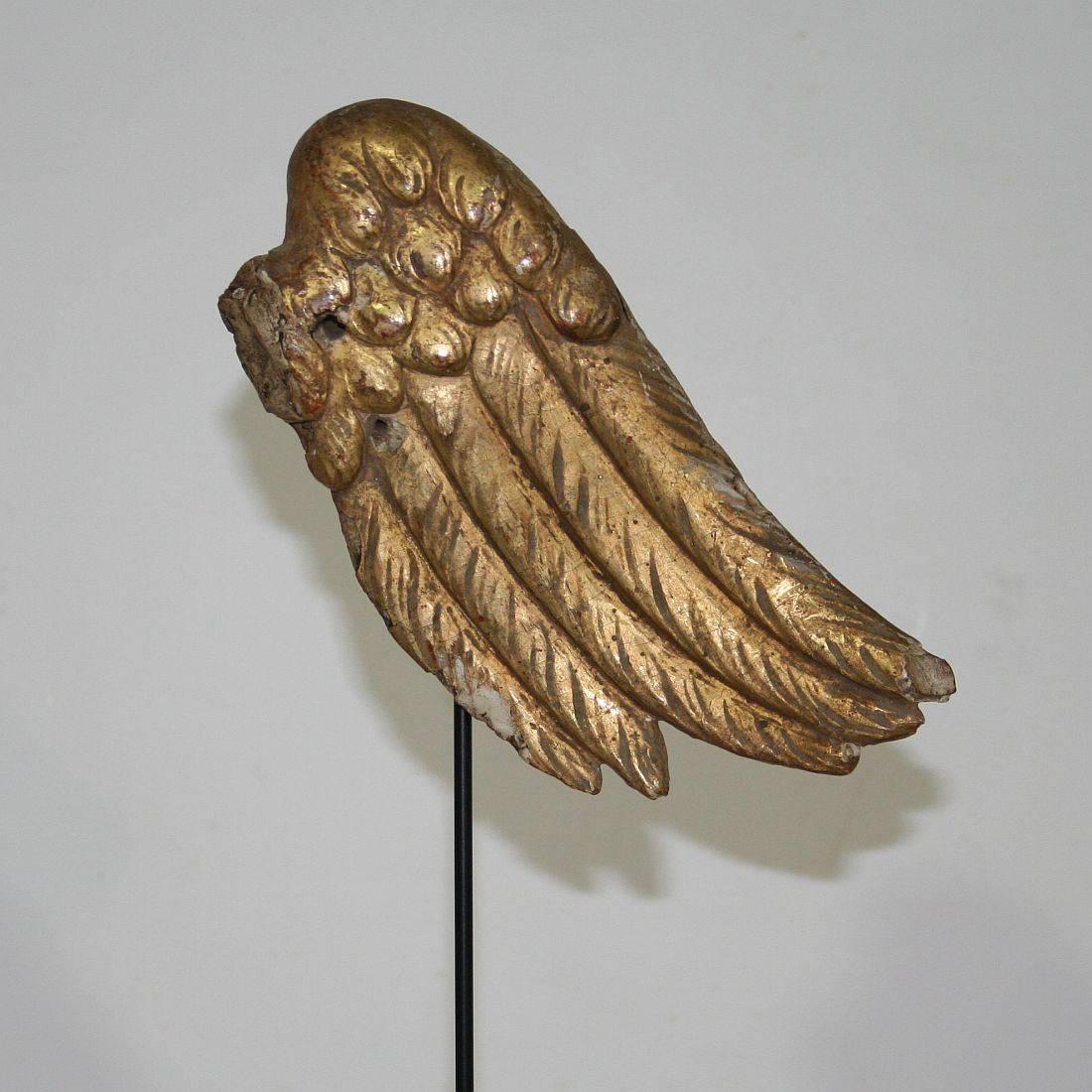 Beautiful Baroque angel-wing with its original gilding. Rare and very decorative item placed on a wooden base, Italy, circa 1750. Weathered. Measurement is inclusive the wooden base.