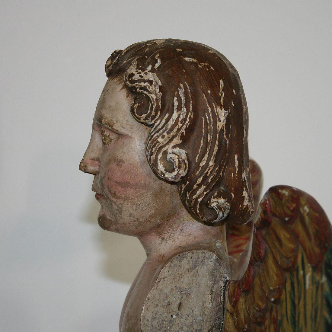 Spanish 18th Century Baroque Fragment of an Angel 6
