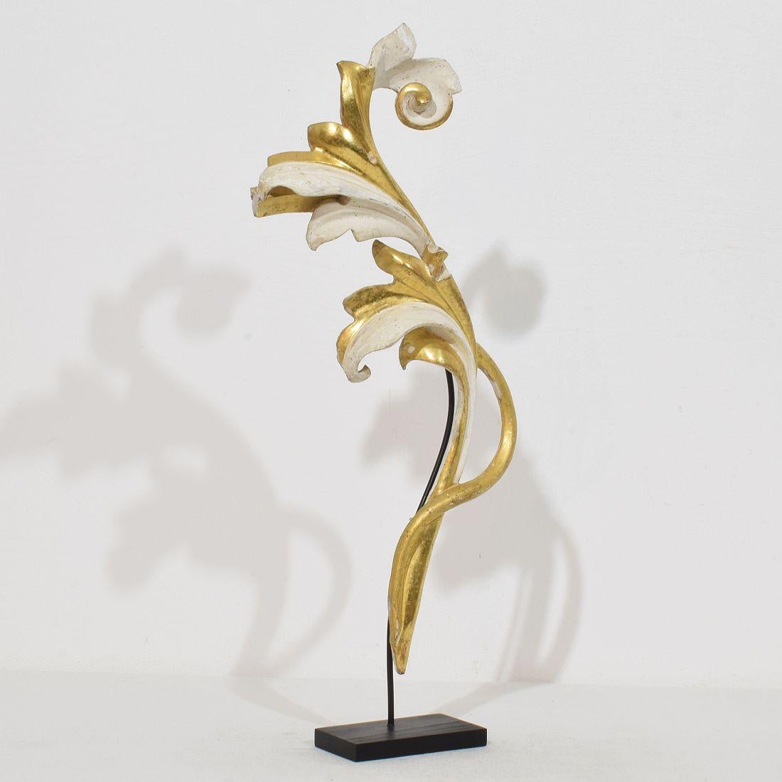Hand-Carved Italian 18/19th Century Hand Carved Giltwood Acanthus Leaf Curl Ornament For Sale