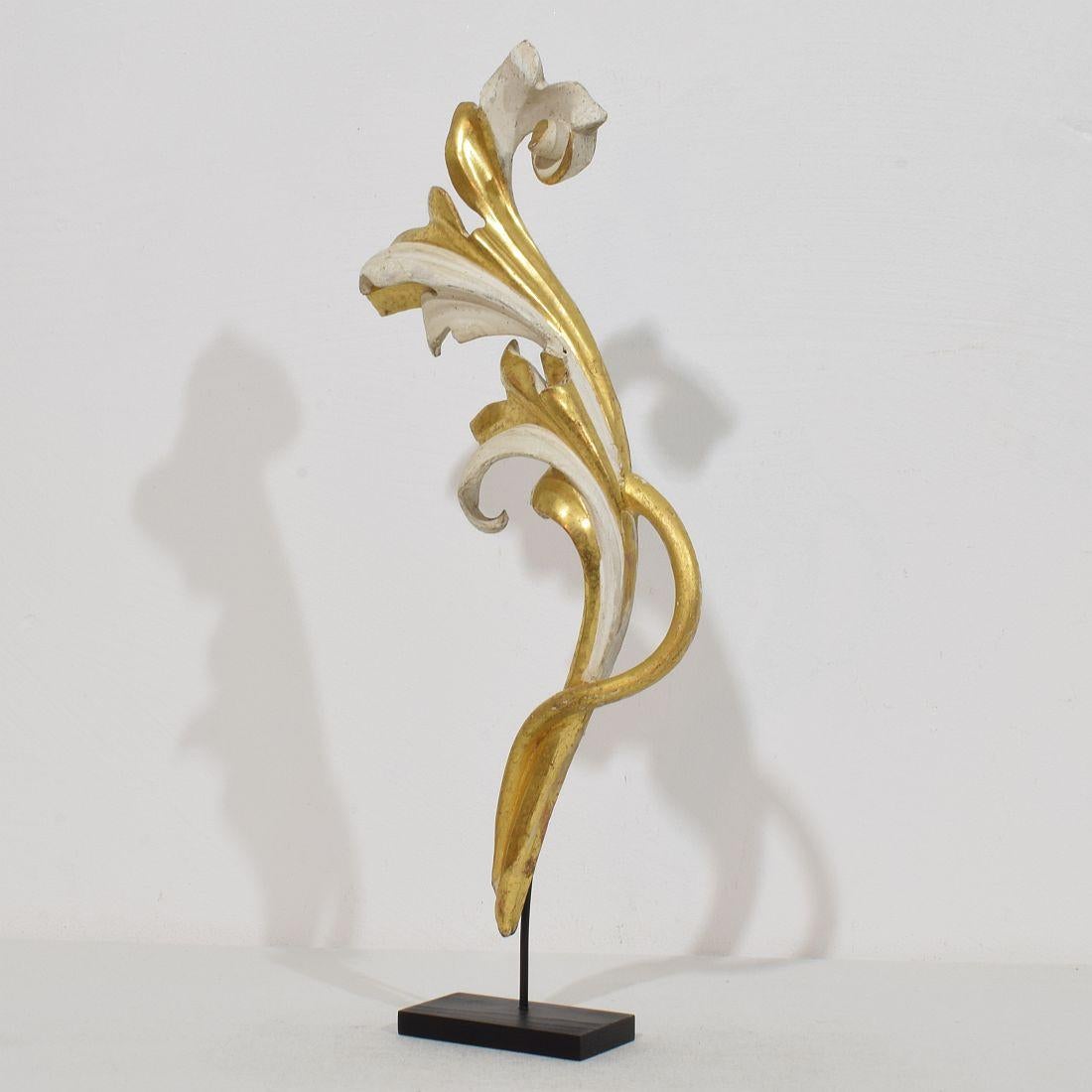 Beautiful handcarved giltwood acanthus leaf curl ornament that once adorned a chapel .Original period piece that due it’s high age has a beautiful weathered look.
Italy circa 1780/1850 , weathered,small losses.
Measurements include the wooden