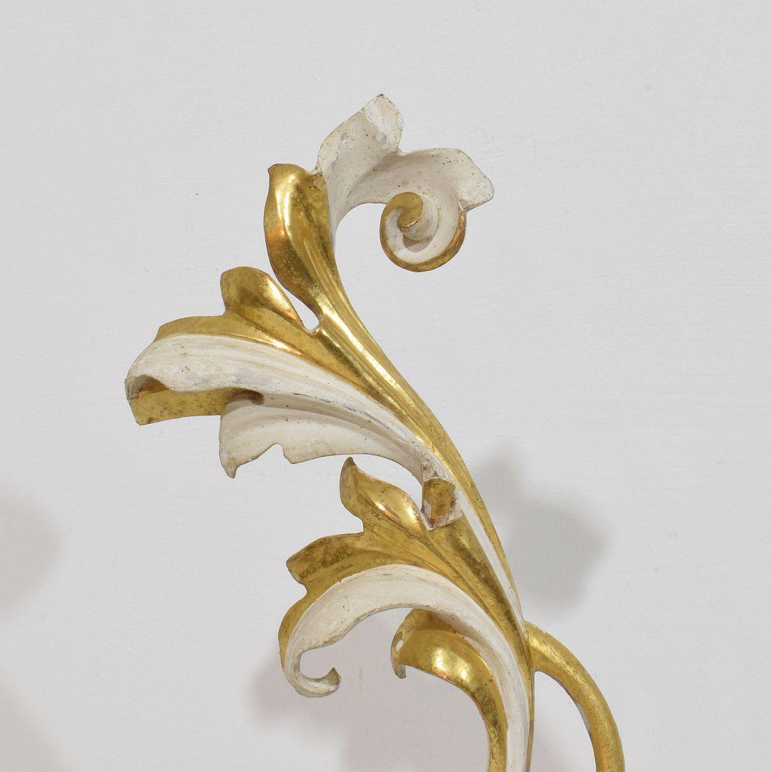 Italian 18/19th Century Hand Carved Giltwood Acanthus Leaf Curl Ornament For Sale 1