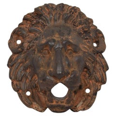 Boca de fuente antigua francesa con forma de cabeza de león, de hierro fundido, 1850