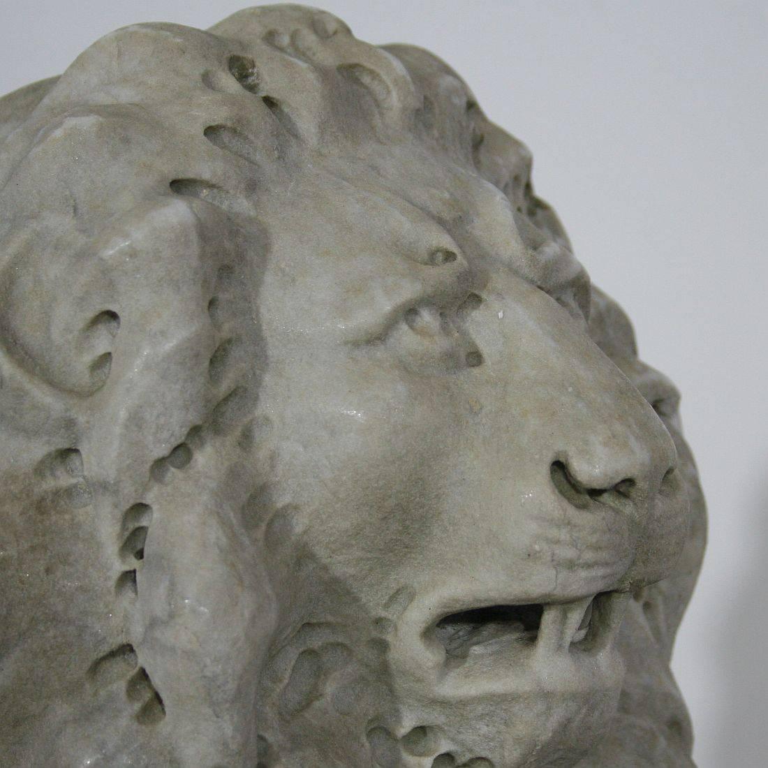 Italian 18th Century Carved Carrara Marble Lion 3