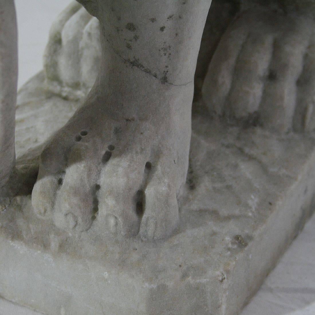 Italian 18th Century Carved Carrara Marble Lion 5