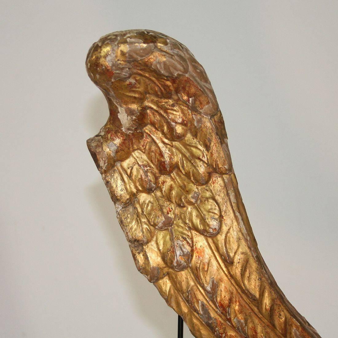18th Century, Italian Carved Wooden Wing of a Baroque Angel 2
