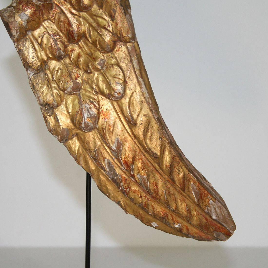 18th Century, Italian Carved Wooden Wing of a Baroque Angel 3