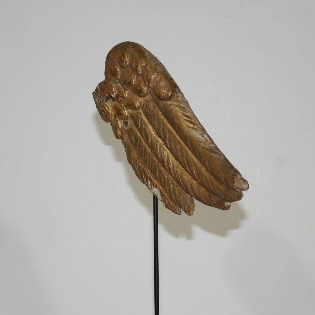 18th Century, Italian Carved Wooden Wing of a Baroque Angel 3