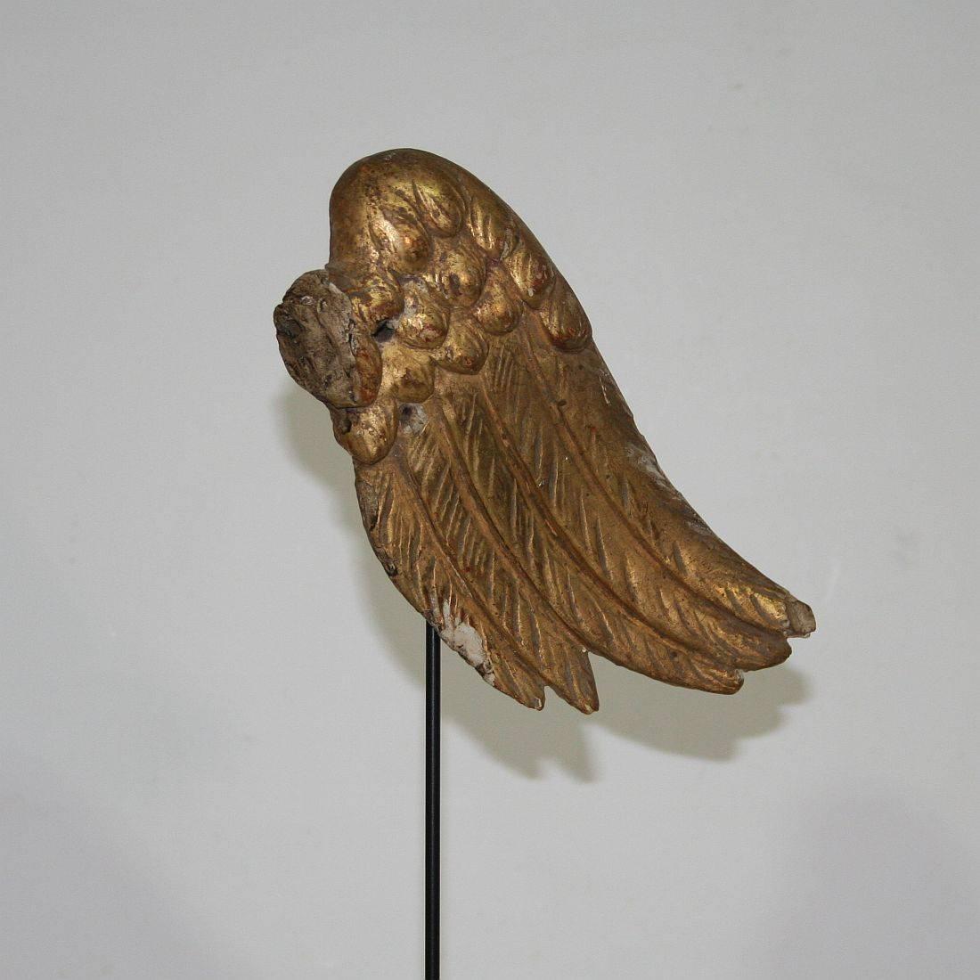 18th Century, Italian Carved Wooden Wing of a Baroque Angel 2