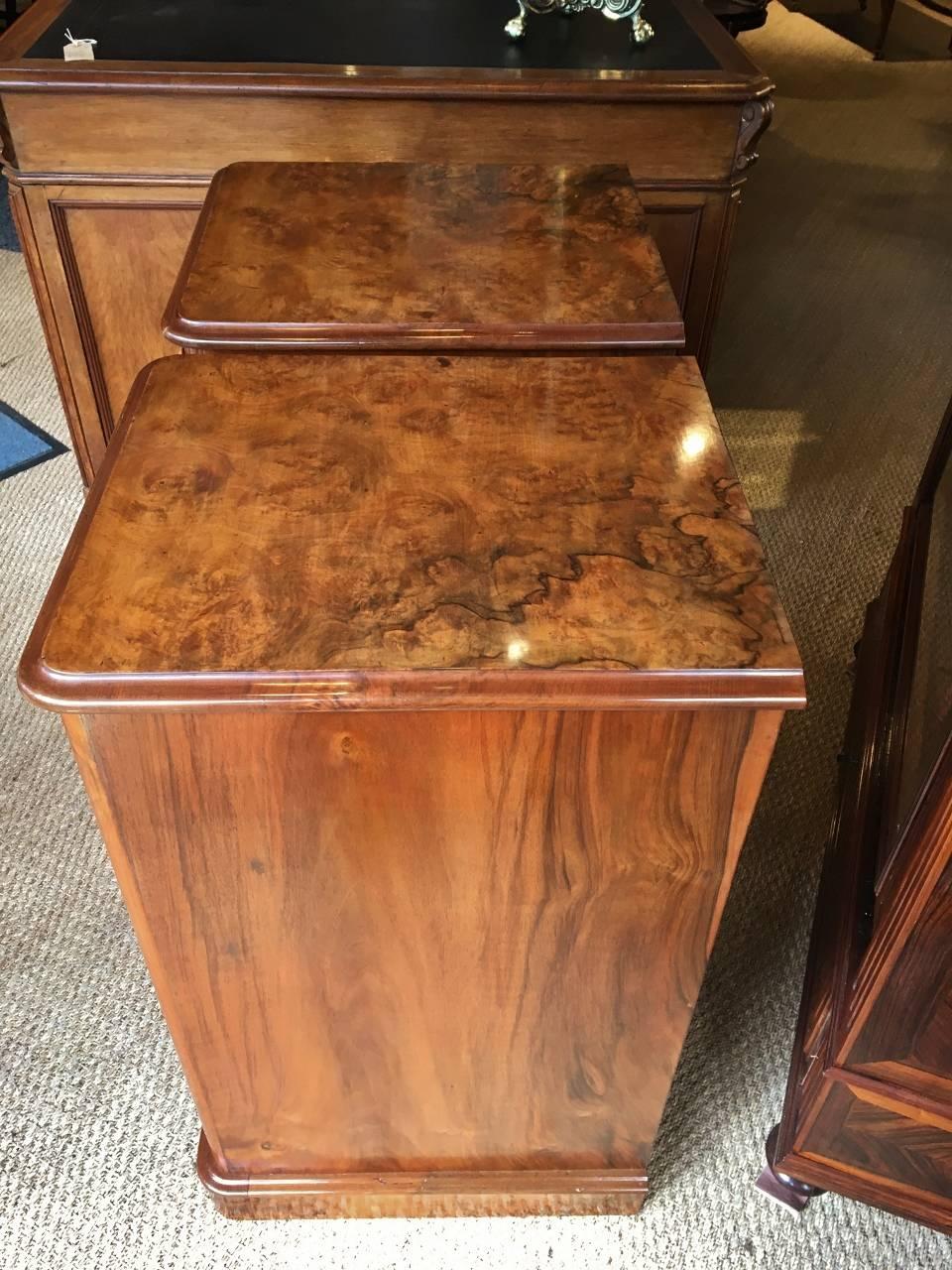 English 19th Century Burr Walnut Bedside Cabinets