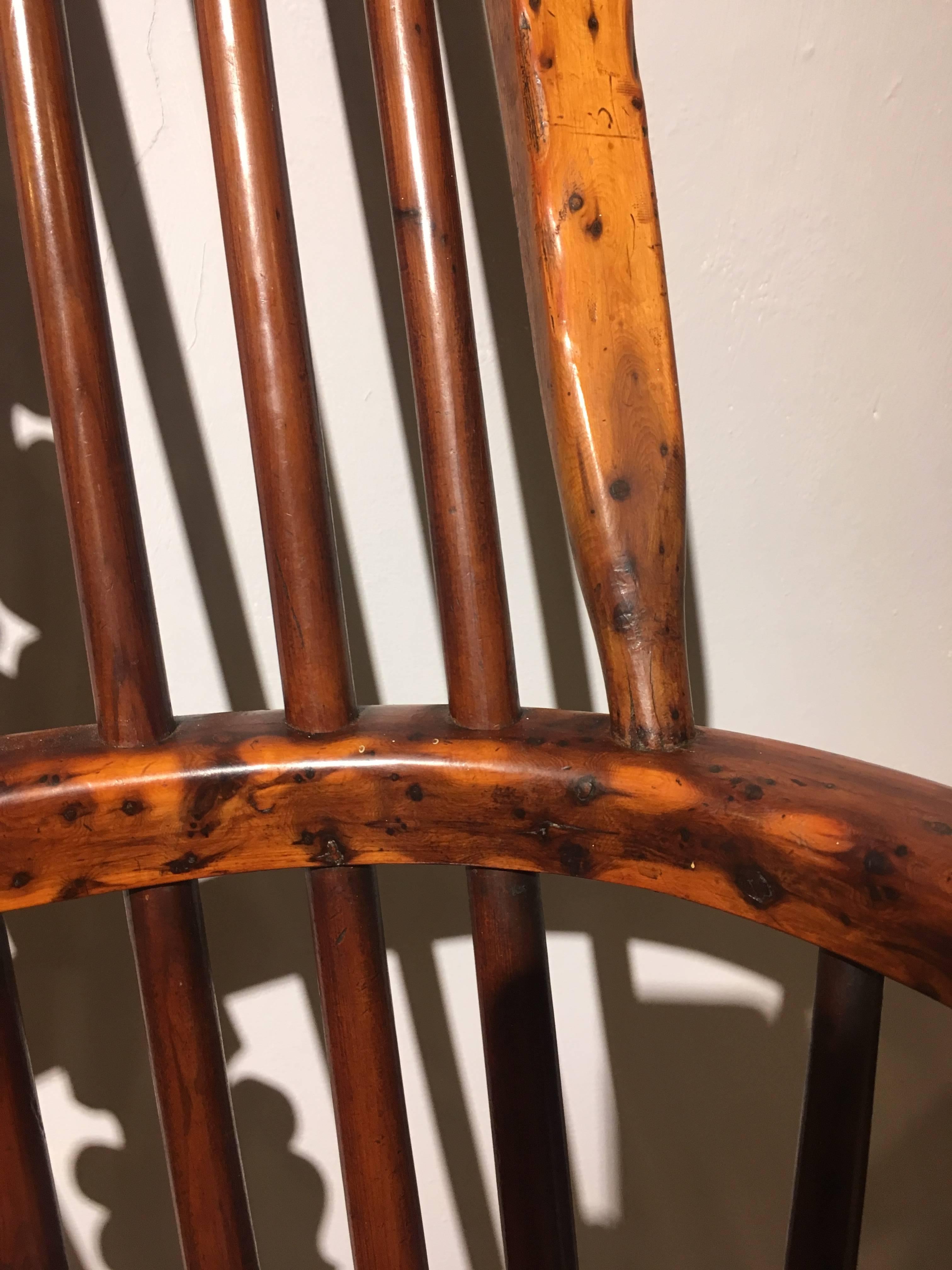 Early 20th Century Yew Wood Windsor Chair