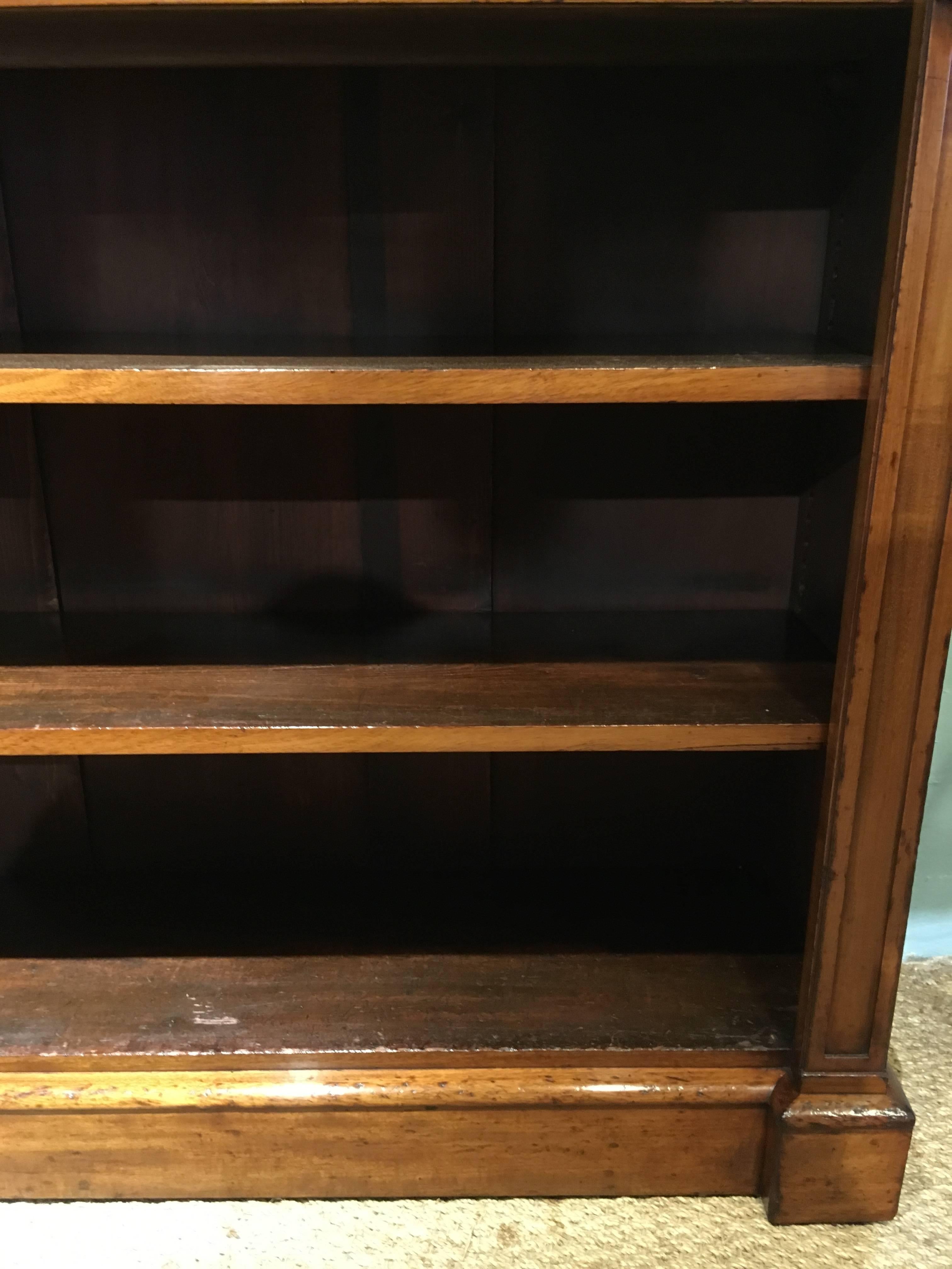 Mid-19th Century English Victorian Mahogany Bookcase