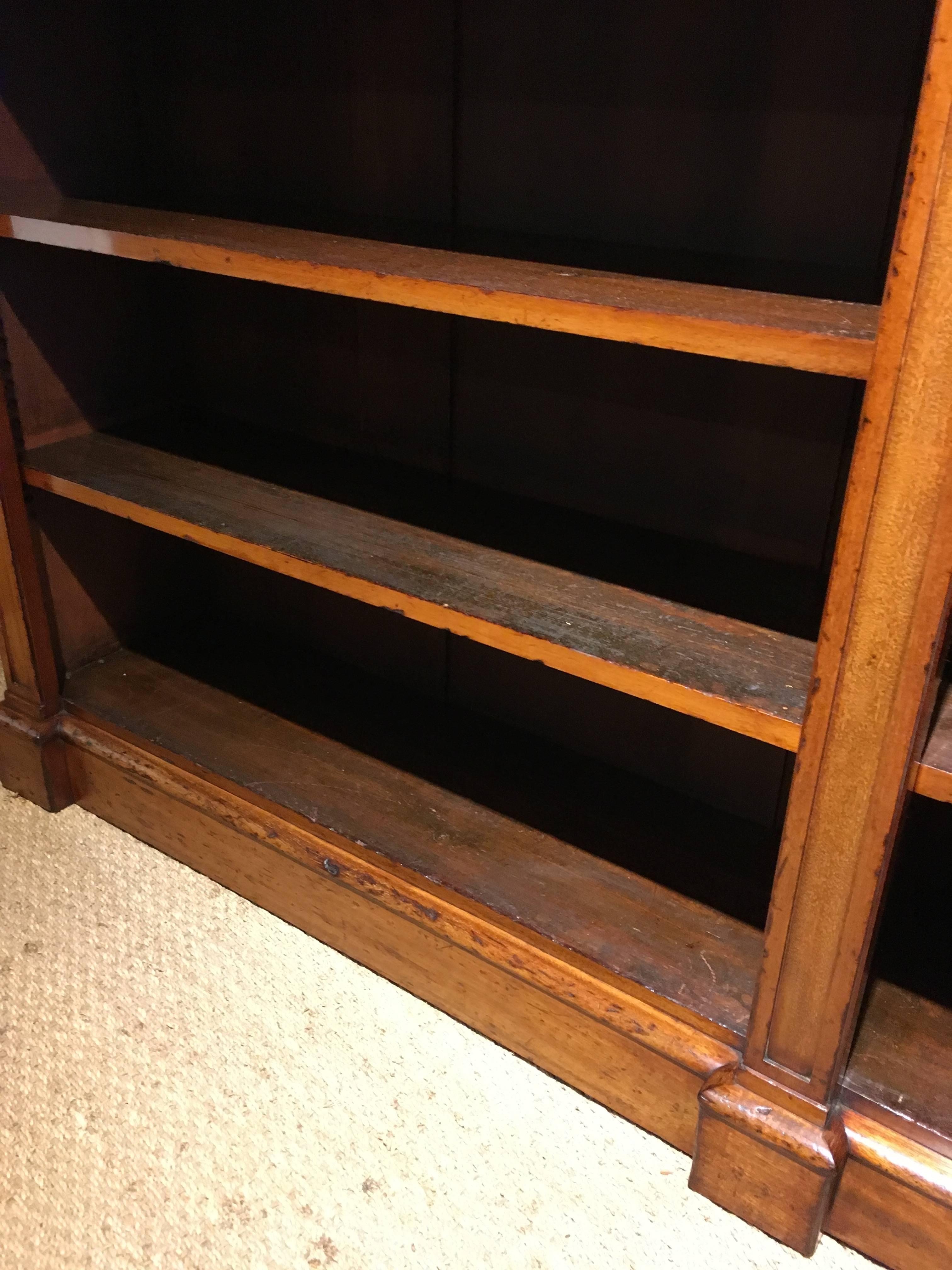 English Victorian Mahogany Bookcase 1