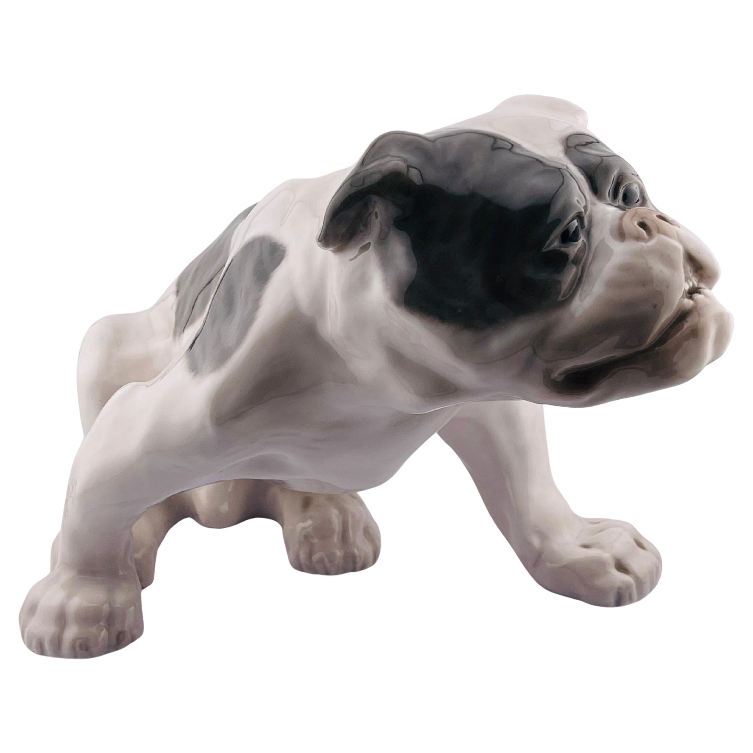 Figurina di bulldog inglese di Royal Copenhagen Tipo: Sottosmalto Design/One: Knud Kyhn in vendita