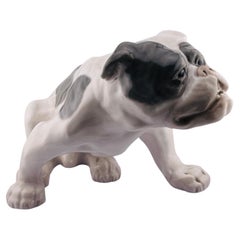 Royal Copenhagen English Bulldog Figurine Type: Underglaze Design: Knud Kyhn