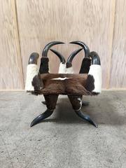 Vintage Cowhide Steer Horn Chair