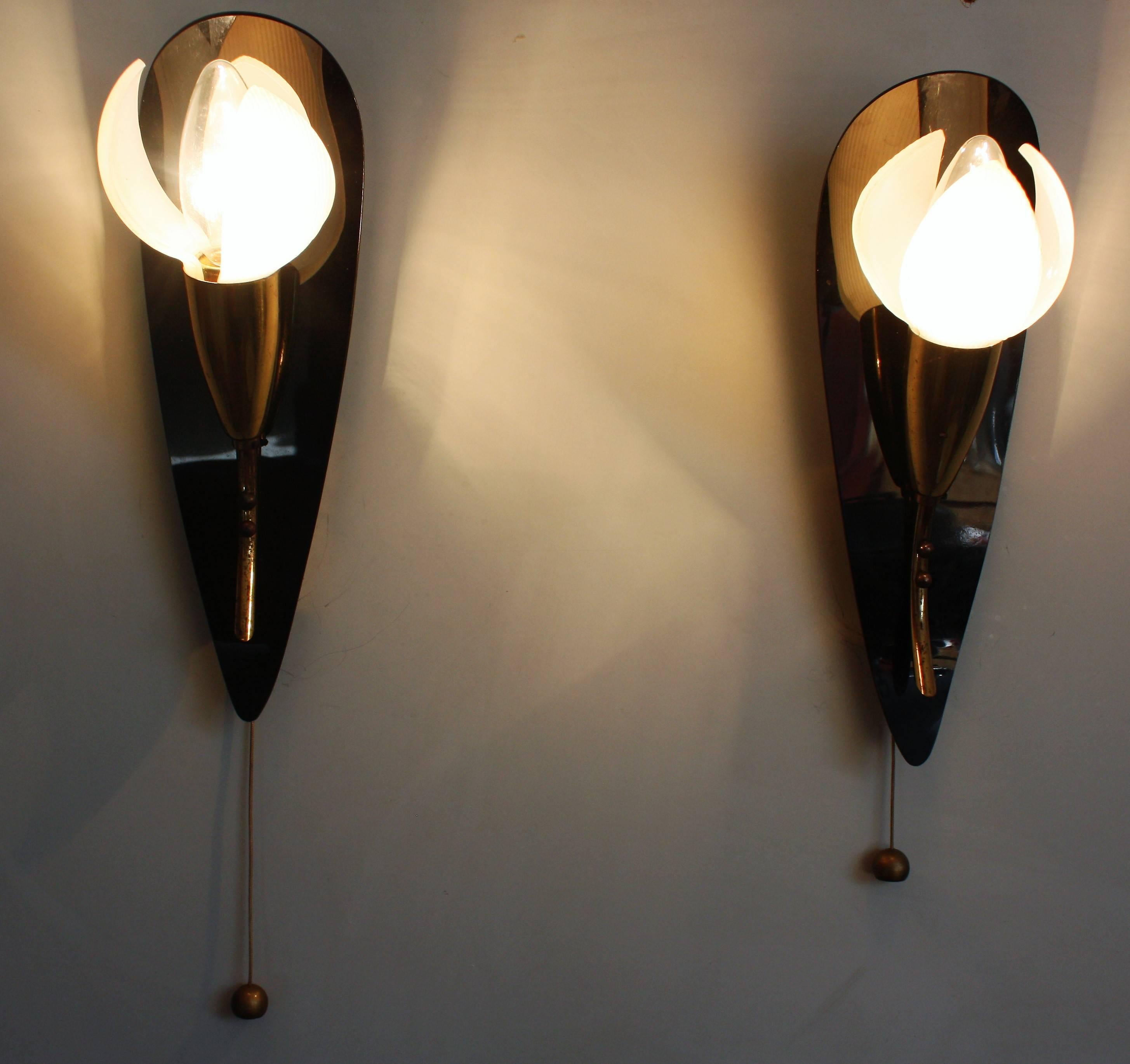 Mid-20th Century Pair of Mid-Century Wall Sconces Brass and Acrylic Flower