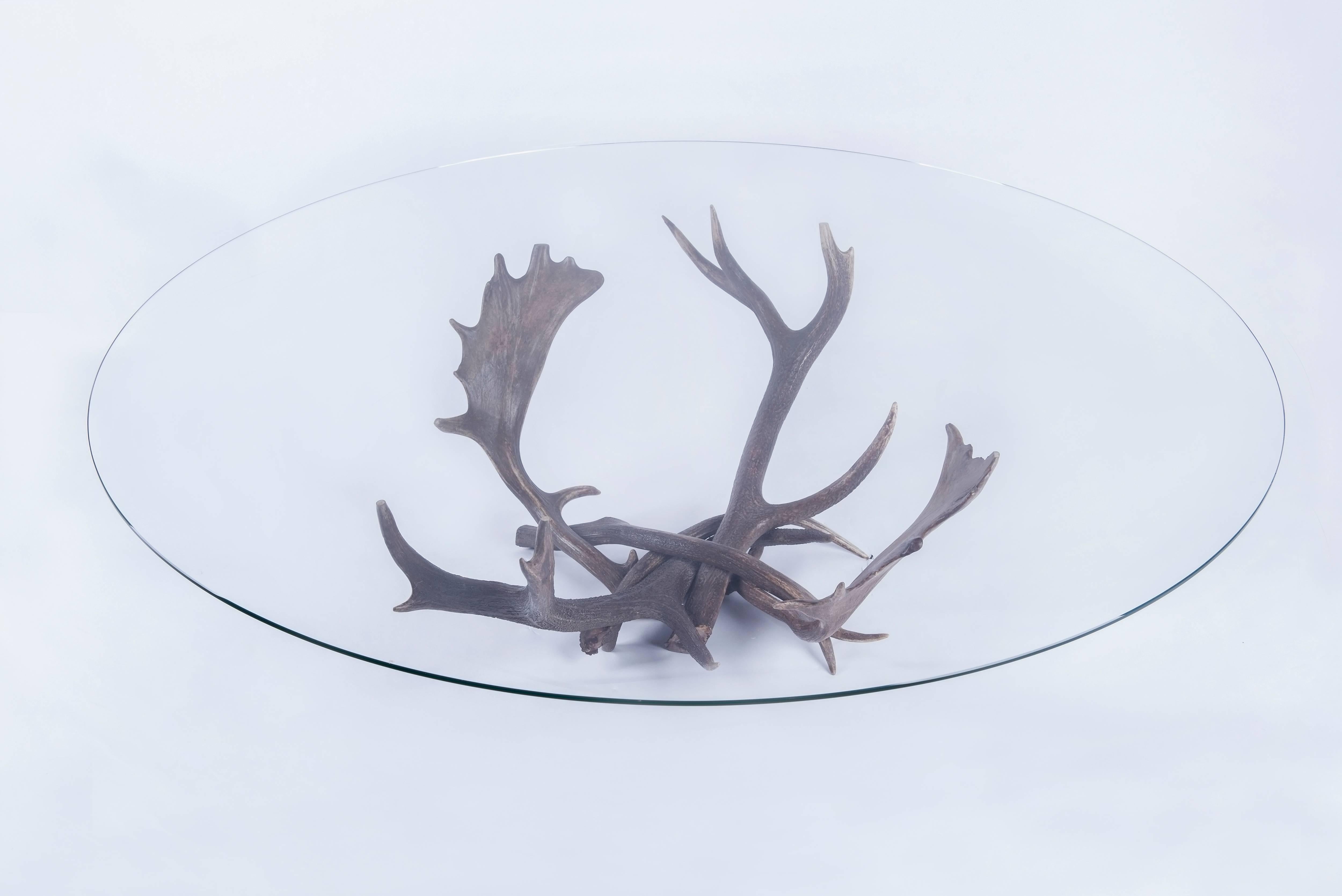 Huge Antler coffee table with a transparent glass top, designed in the 1980s, treated with an in color wax. It can be placed in a modern interior as well as in a mountain cottage, French origin.