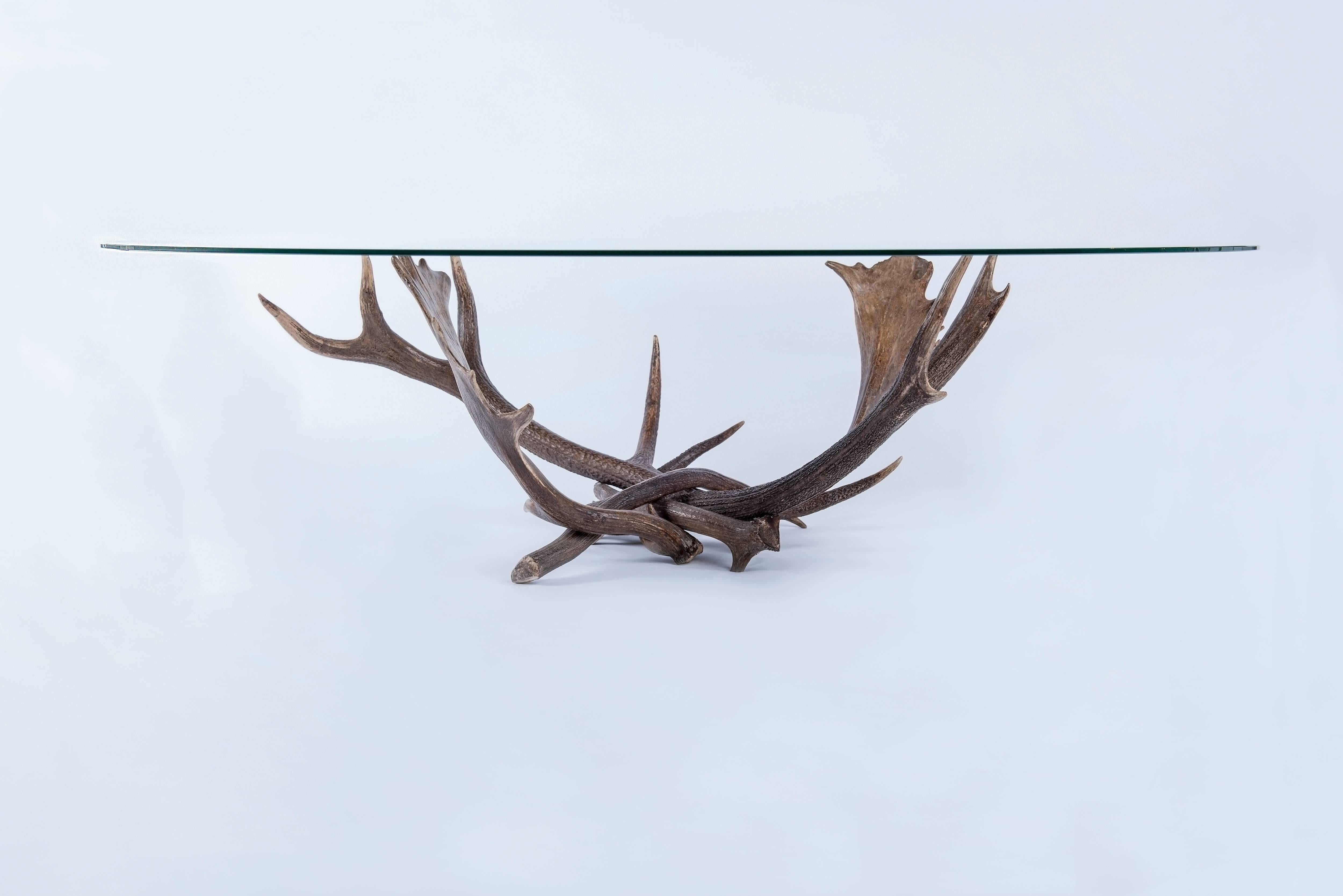 French Antler Coffee Table