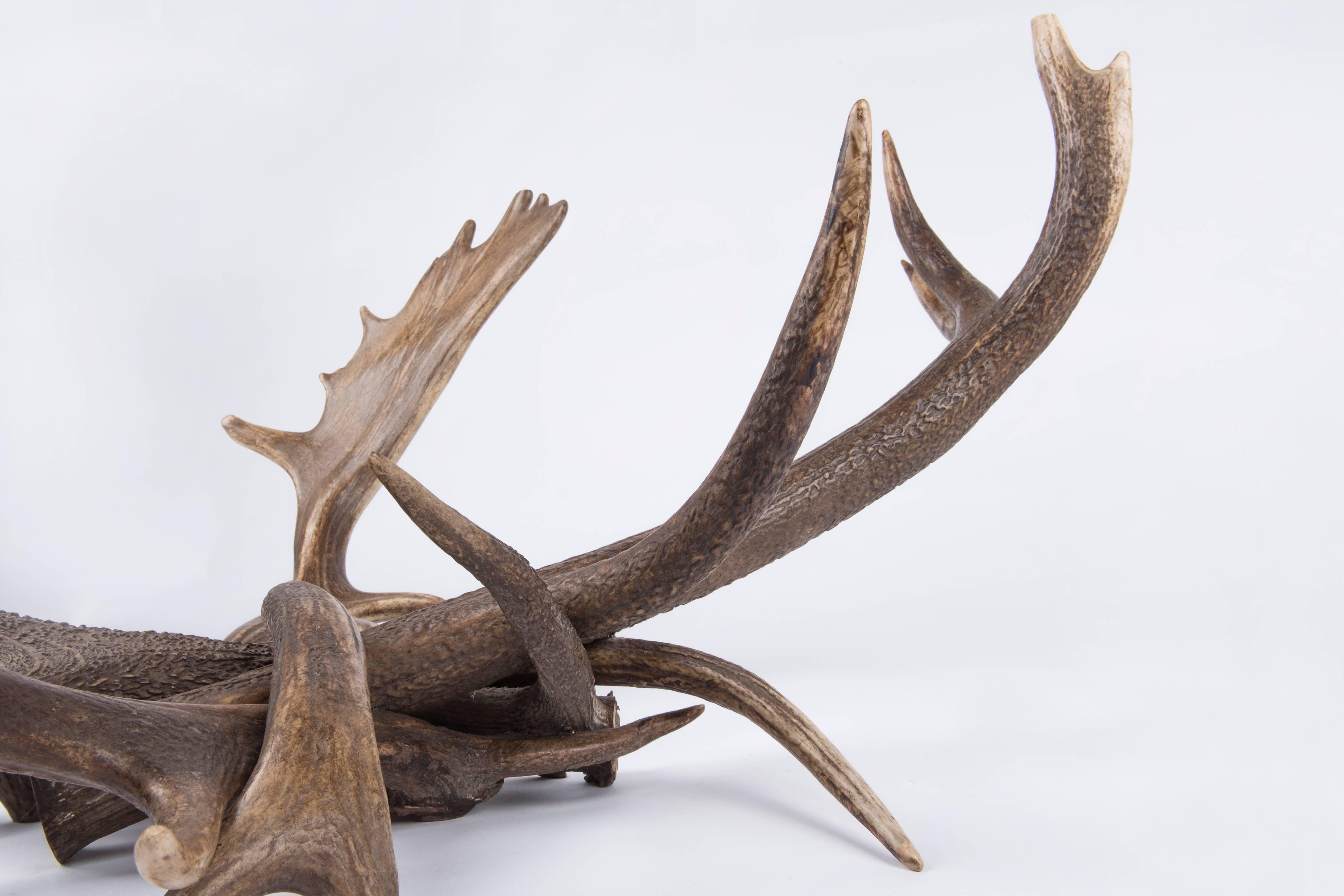 Antler Coffee Table 1