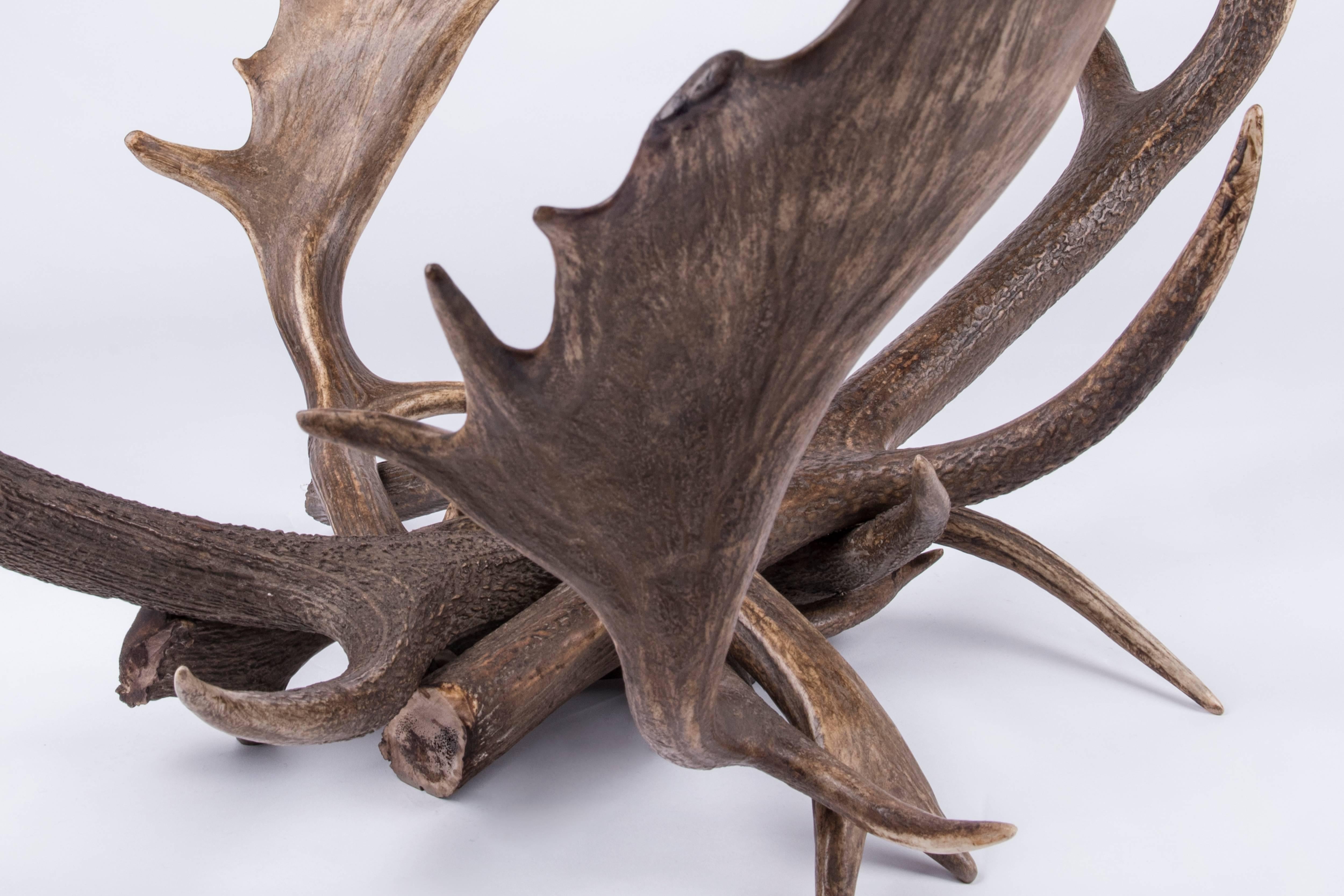 Antler Coffee Table 3