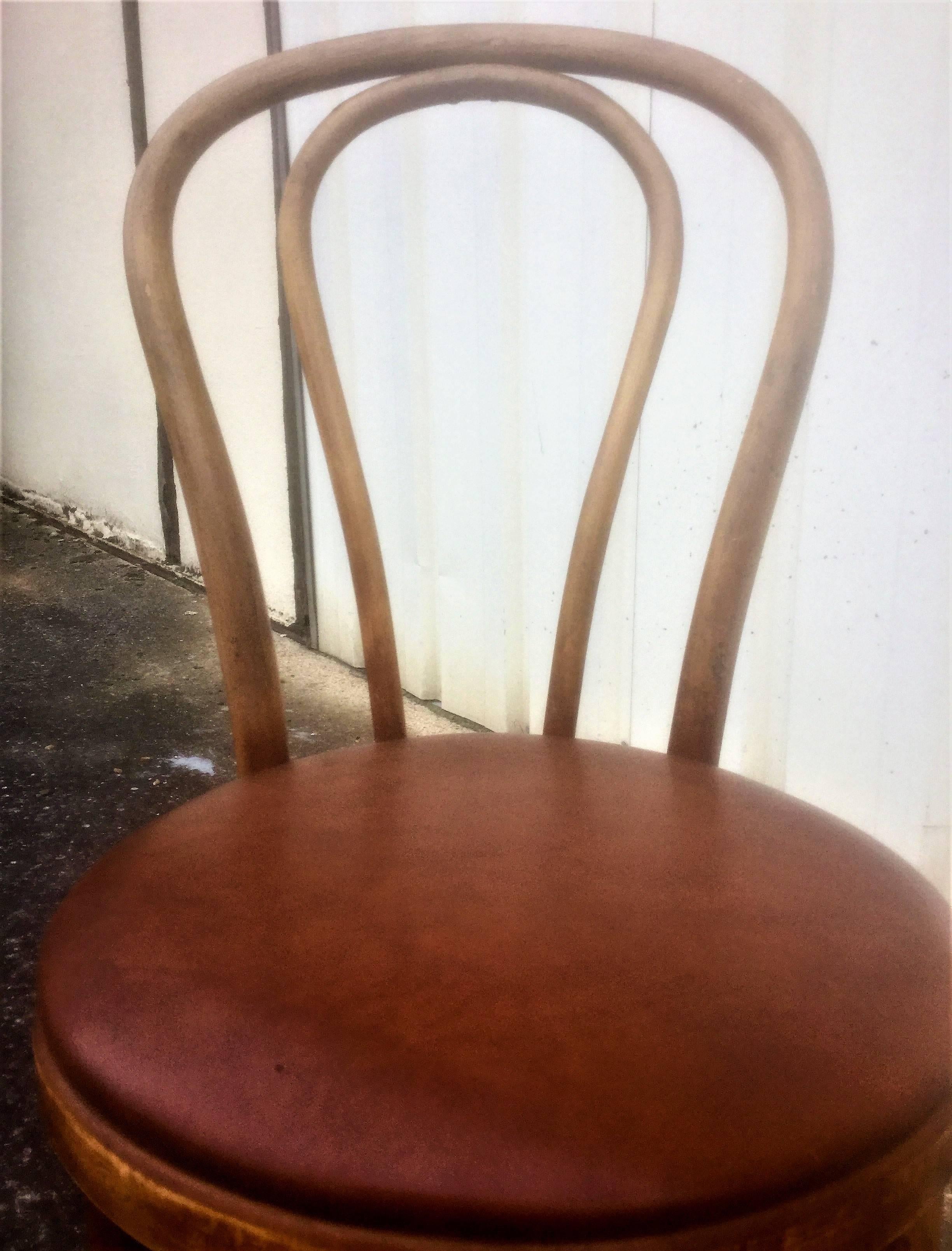 20th Century Set of 12 Thonet Bentwood Beech Brown Chairs