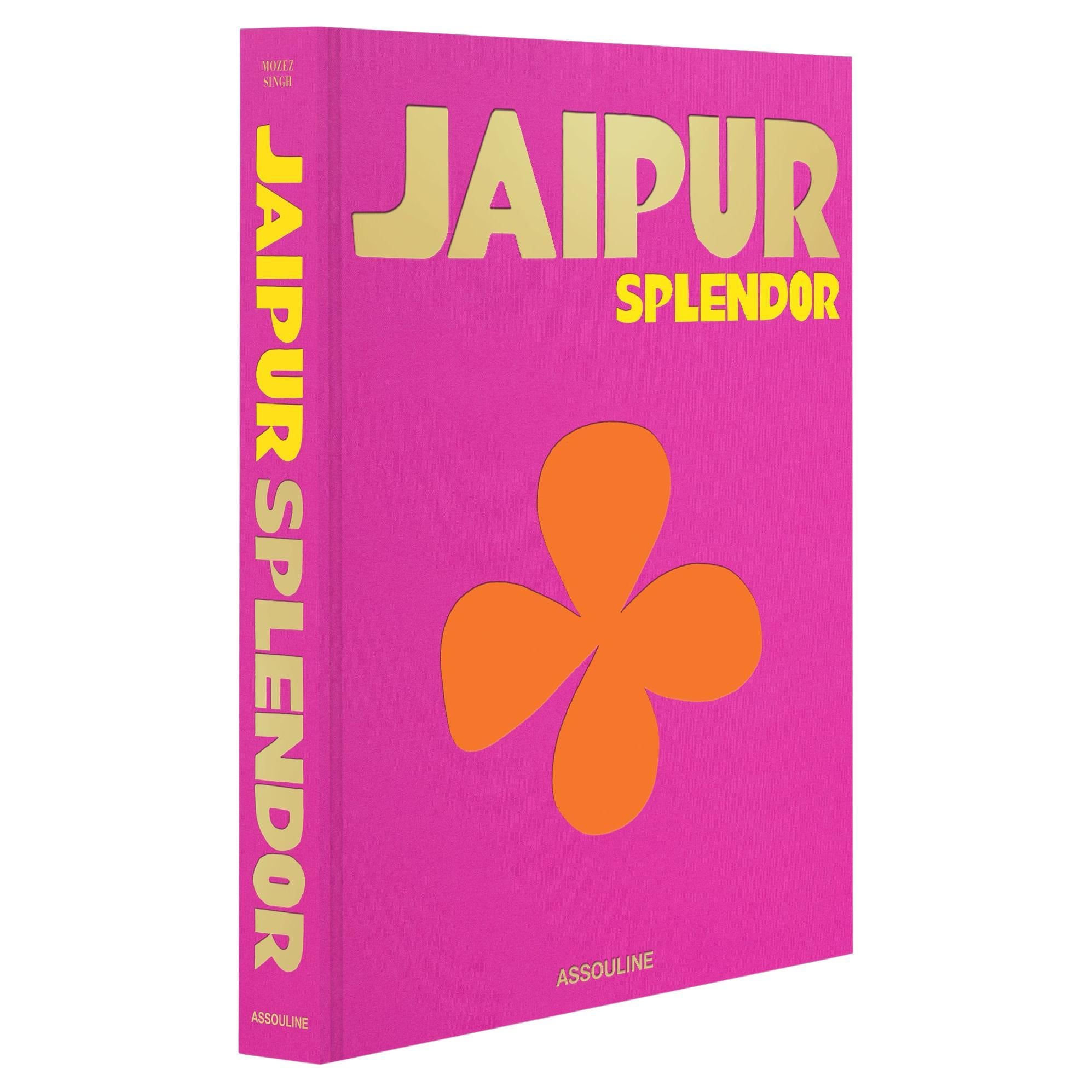Splendeur de Jaipur en vente