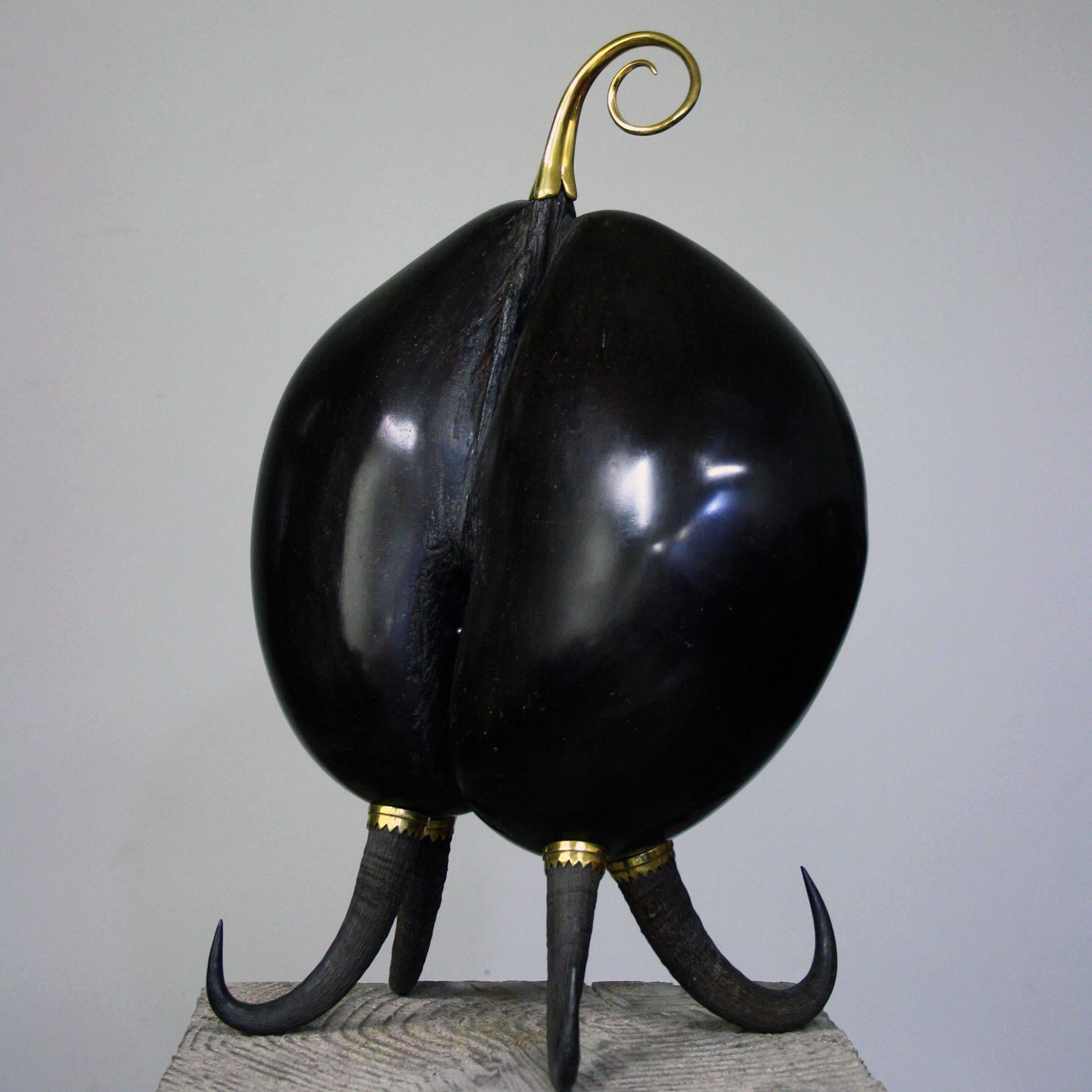 Coco De Mer Sculpture by Glyn Lockett For Sale 1