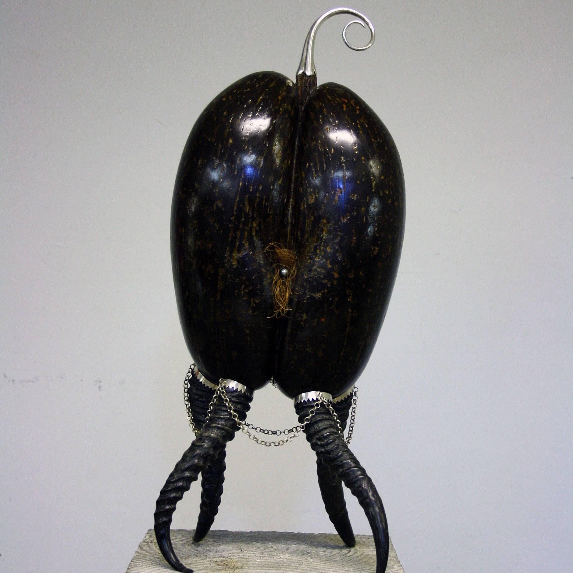 A Coco De Mer sculpture by Glyn Lockett with silvered brass stem, the pudendum set with a black south sea pearl on chain hung silver mounted antelope horn feet, with maker's silver monogram.

This is a fantastic opportunity to start collecting at