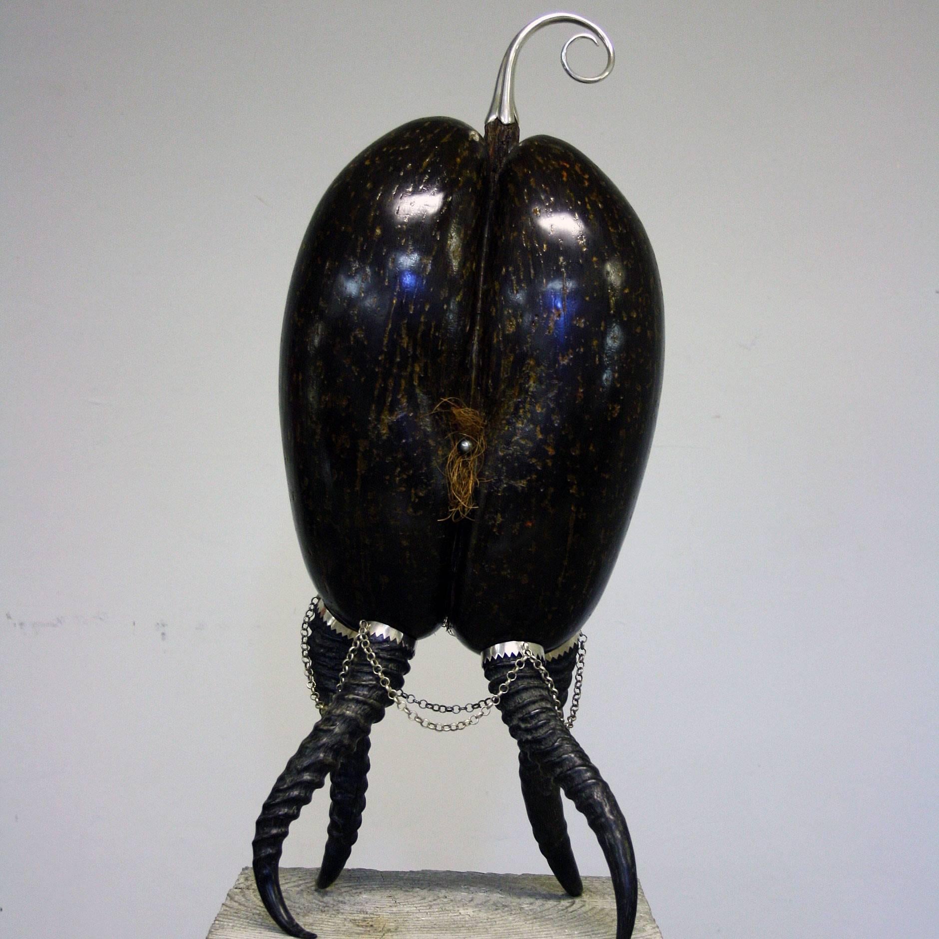 Una scultura Coco De Mer di Glyn Lockett con gambo in ottone argentato, il pudendum incastonato con una perla nera del mare del sud su una catena con piedi in corno di antilope montati in argento, con monogramma in argento del produttore.

Questa