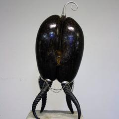 Scultura Coco De Mer di Glyn Lockett