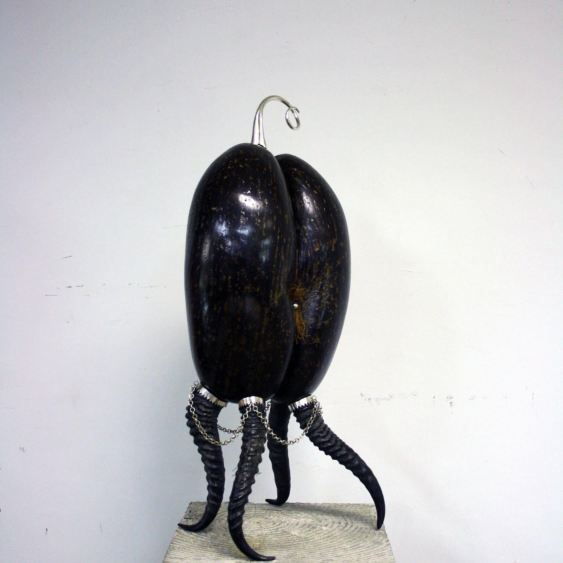 Brass Coco De Mer Sculpture by Glyn Lockett For Sale