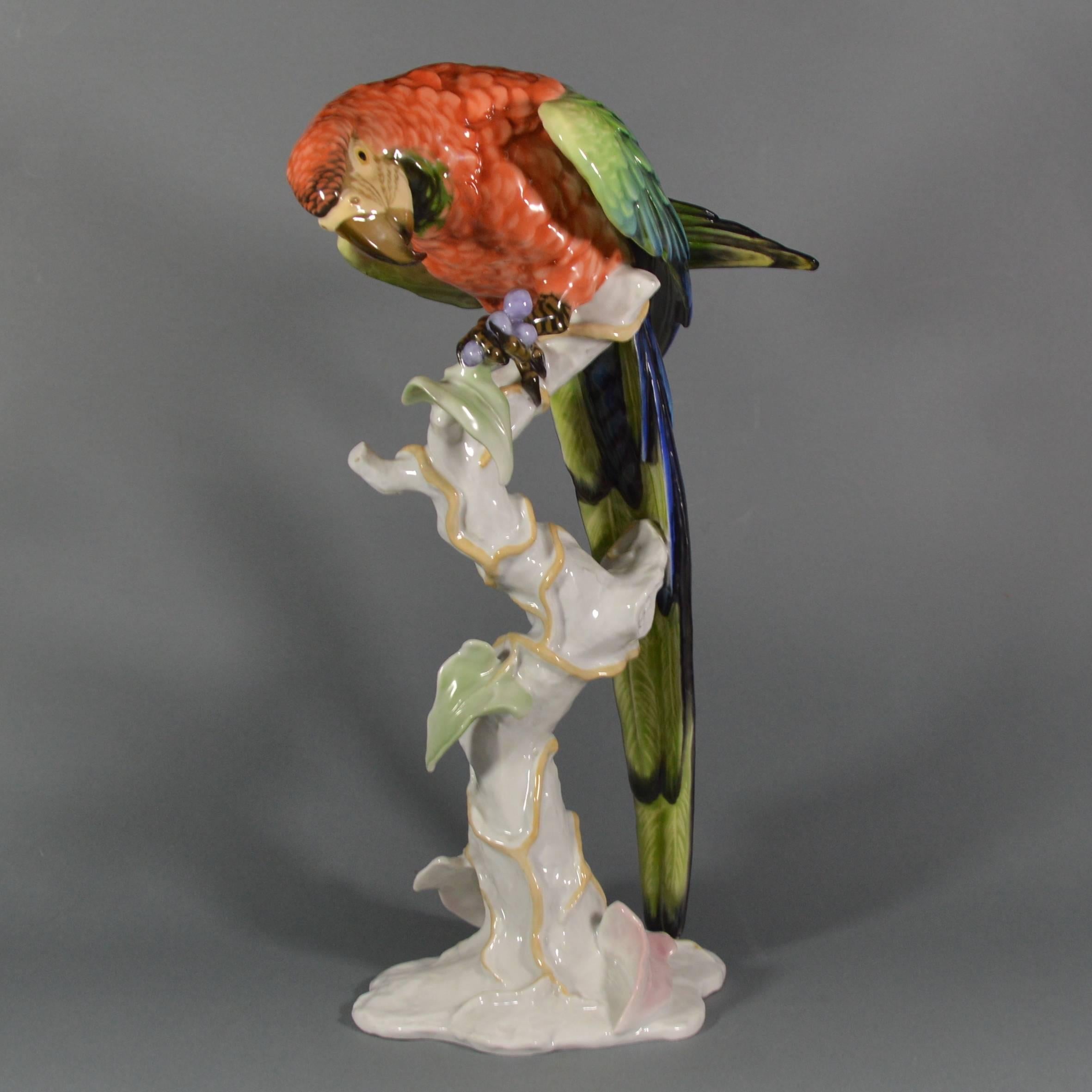 Large Ara parrot porcelain figurine by German fine porcelain manufacturer Rosenthal.
Model number 1670, designed by F. Heidenreich (1895-1966) in 1937.
Very realistic, hand-painted, amazingly modeled piece. Displays perfectly.
Measure: Height