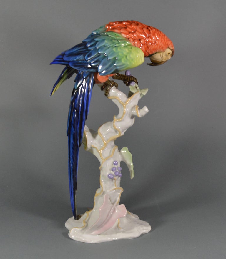 Large Ara Parrot Porcelain Figurine by Rosenthal Designed by F.Heidenreich,  1937 at 1stDibs