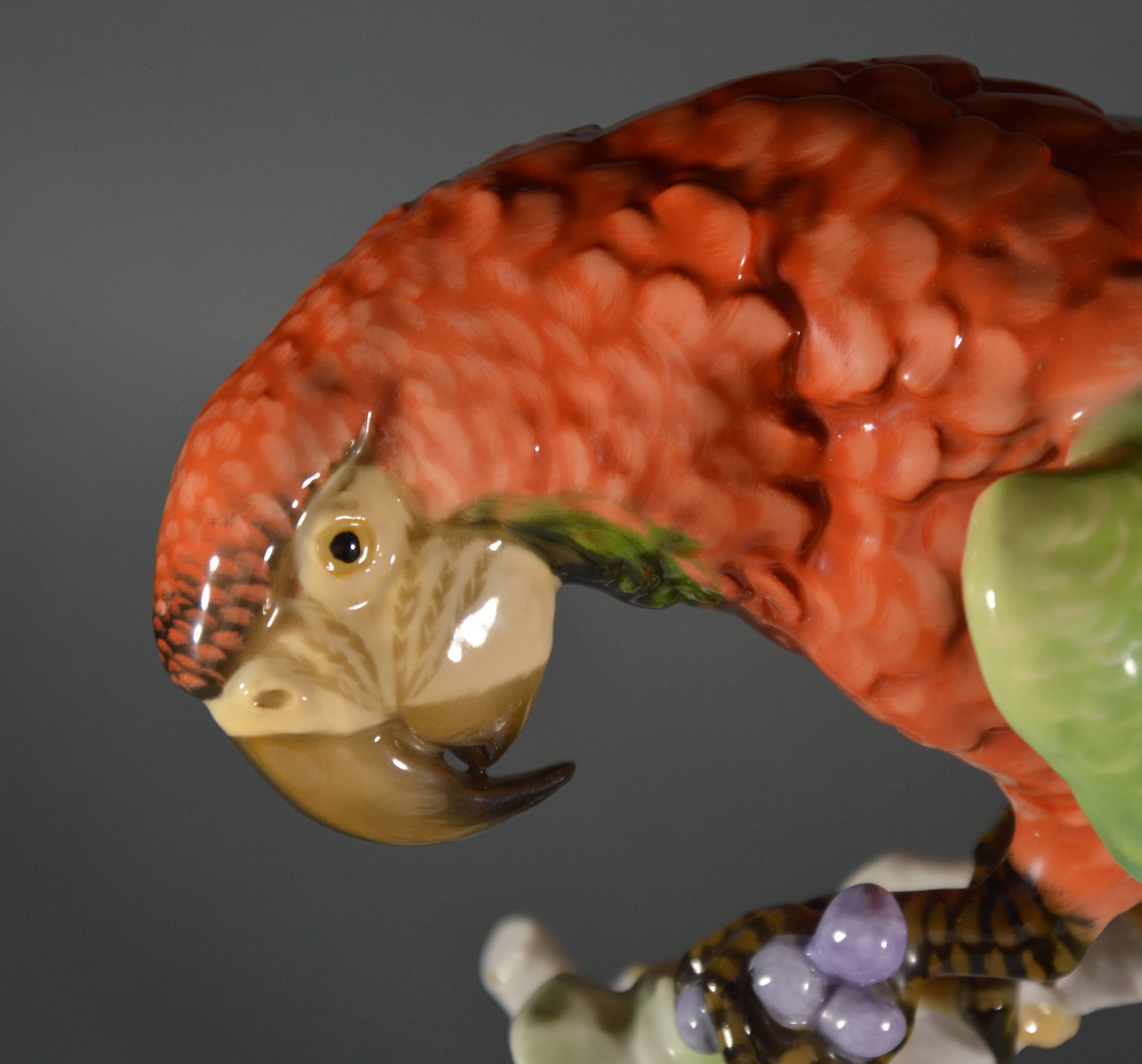 Cast Large Ara Parrot Porcelain Figurine by Rosenthal Designed by F.Heidenreich, 1937