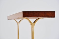 French-Polished Console in Antique Hardwood with Bronze Base by P. Tendercool