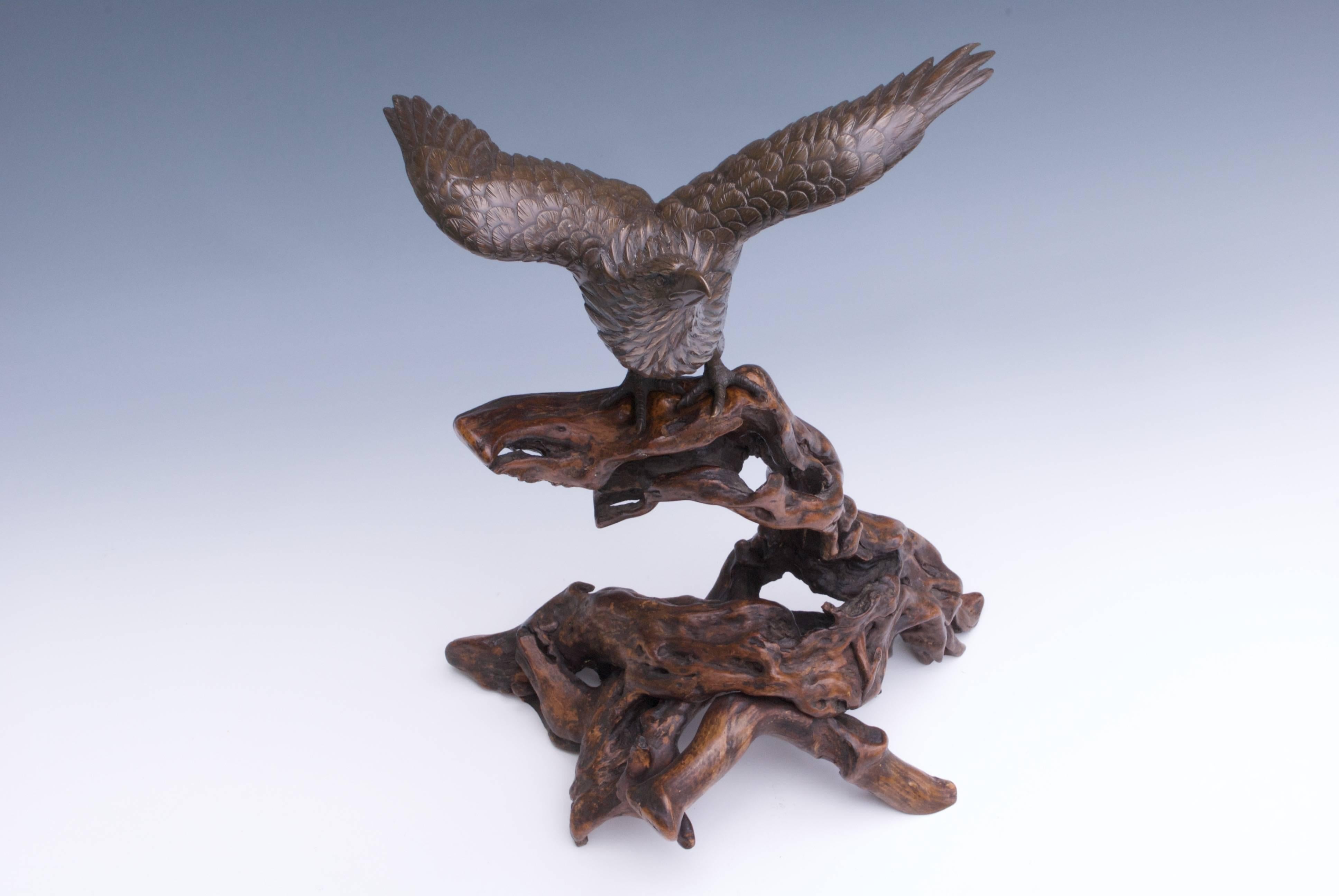 Japanese Bronze Sculpture Okimono of an Eagle For Sale 1
