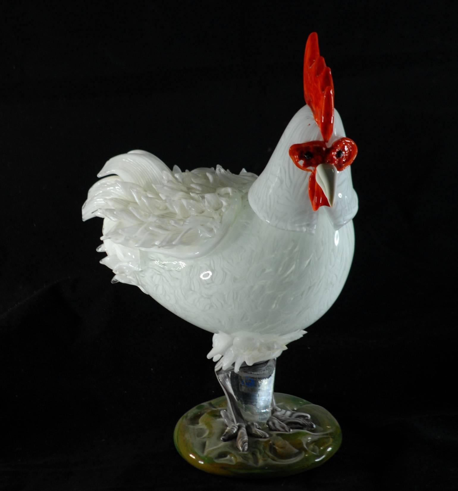 big white rooster