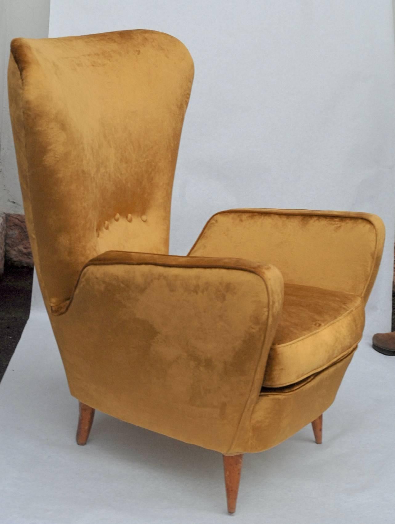 Sala Madini for Galimberti Cantu Armchair 1950s, Fully Restored, Gold Velvet In Good Condition In Tavarnelle val di Pesa, Florence